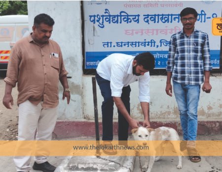 रेबीज रोखायचा असेल तर श्वानांचे लसीकरण करा!