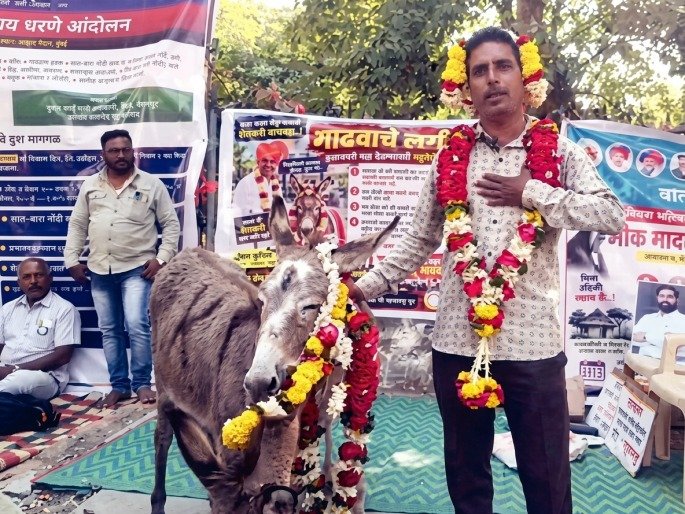Bayko-parat-milavi-mhnun-gadhavashi-lagn-