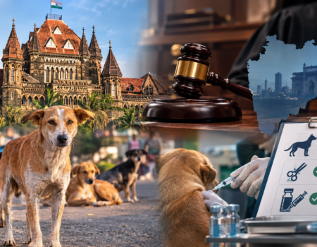 Bombay Court, Stray Dogs, and Justice AI Image Lokarth 10.10.2026
