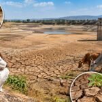 Chincholi_Talav_Pani_Sankat_03-10-2026