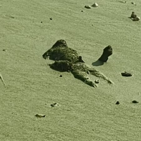 Fulambri deadbody Lokarth 17.10.2026