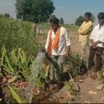 Haldila Paani Denyasathi Shetkaryachi Dhadpad 31.10.2026