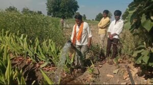 Haldila Paani Denyasathi Shetkaryachi Dhadpad 31.10.2026