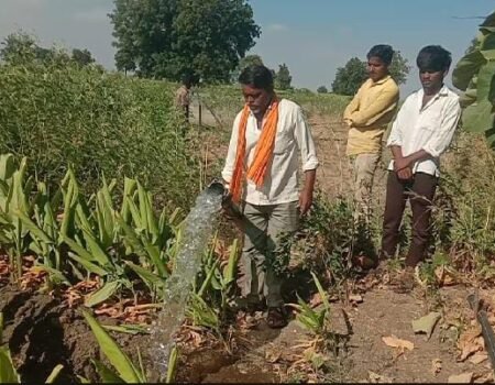 Haldila Paani Denyasathi Shetkaryachi Dhadpad 31.10.2026