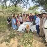 Kapashichya Shetat Ganjachi Bag Image Gangapur Lokarth 19.10.2026