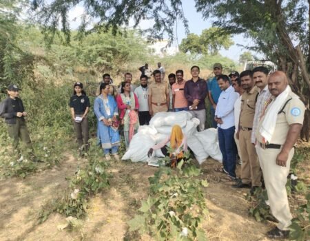 Kapashichya Shetat Ganjachi Bag Image Gangapur Lokarth 19.10.2026