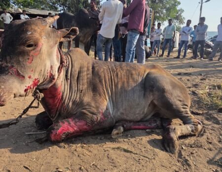 Kunjkheda Fire