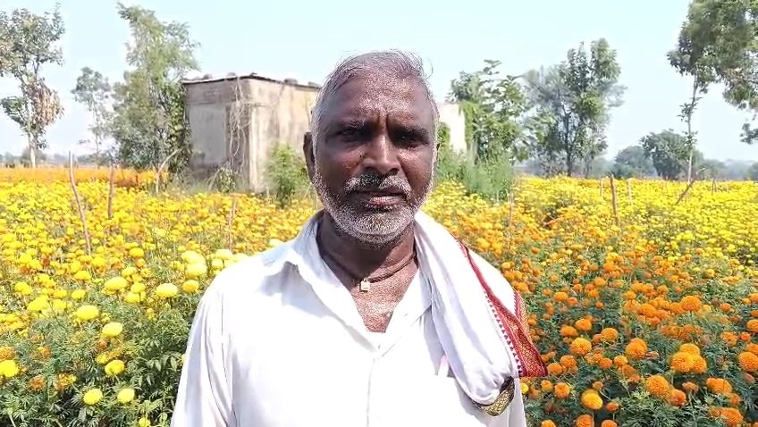 Shetkari Anandrao Makkapalle Image 13.10.2026